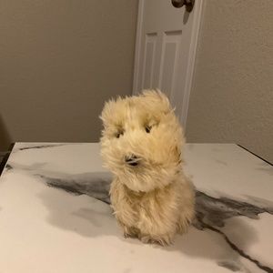 American girl doll dog